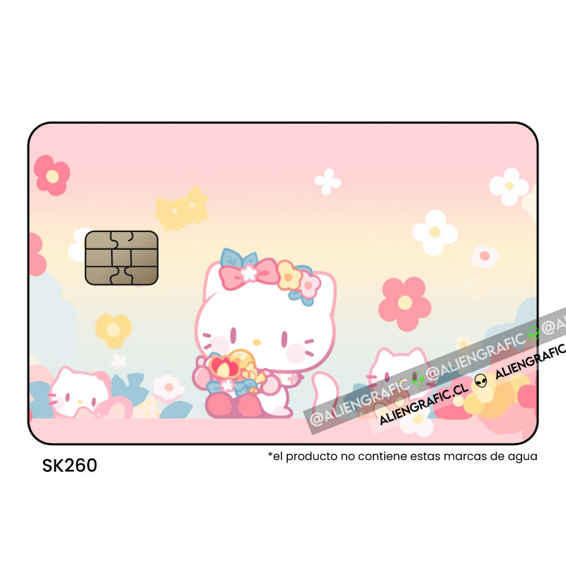 Hello Kitty 5