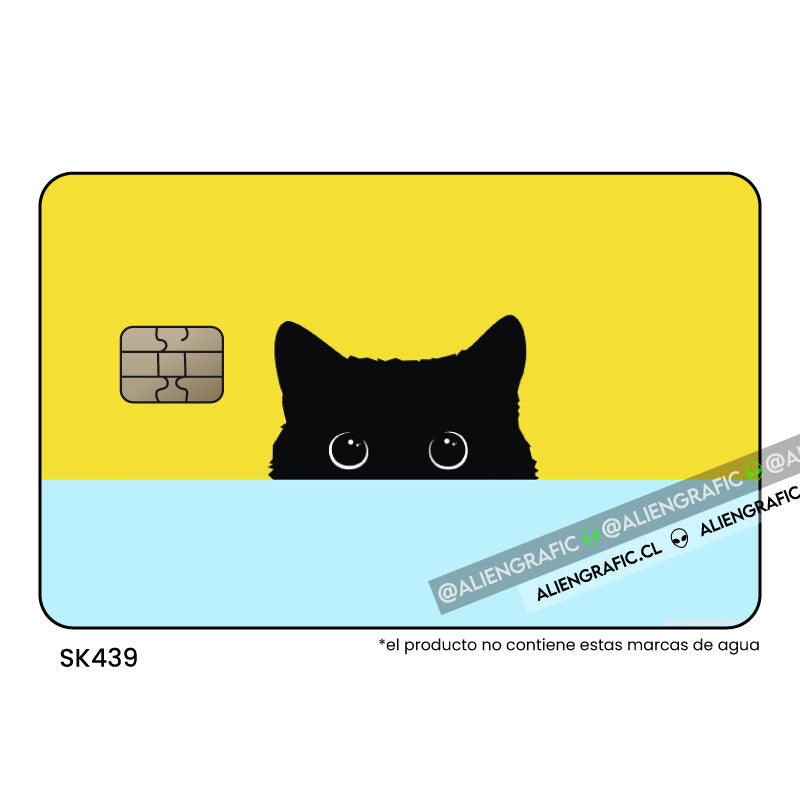 Gato Negro 2