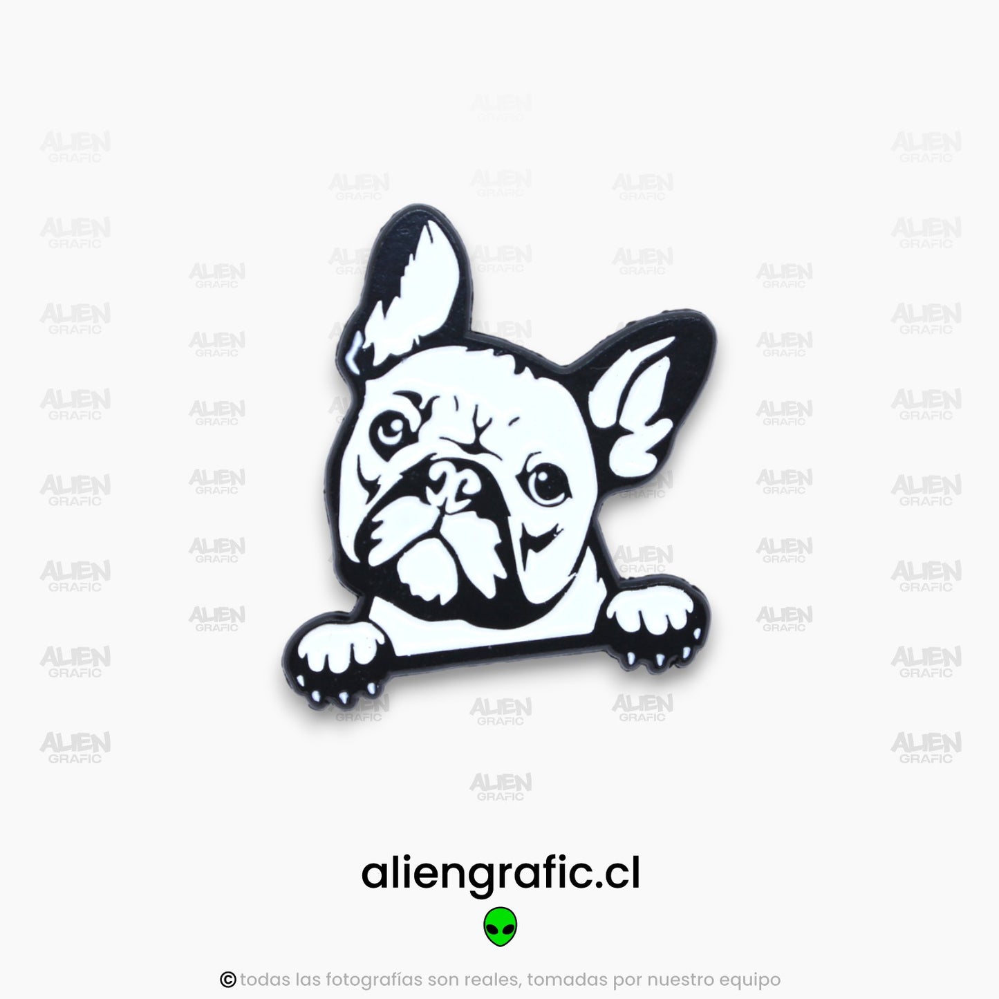 Bulldog Francés 2