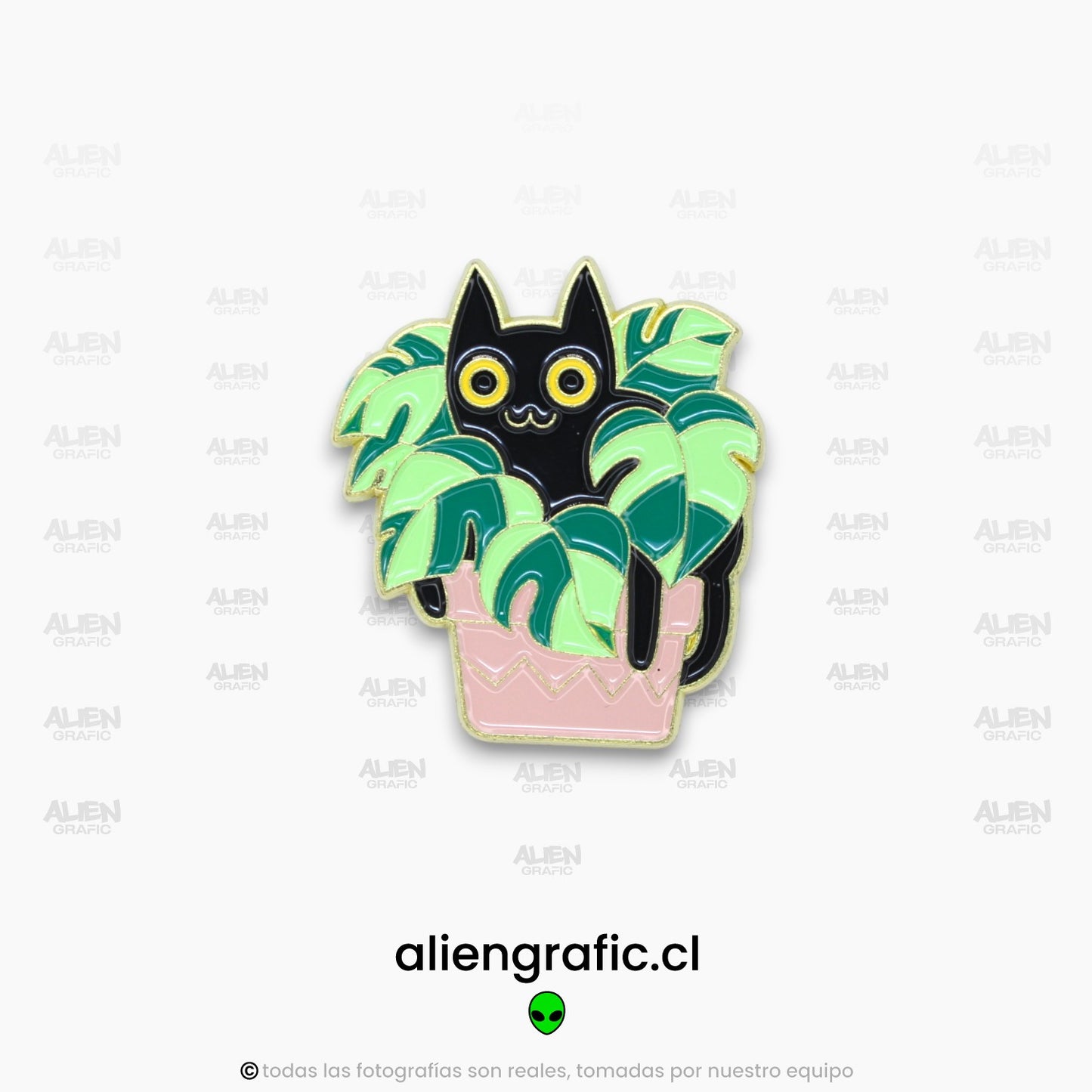 Gato Planta