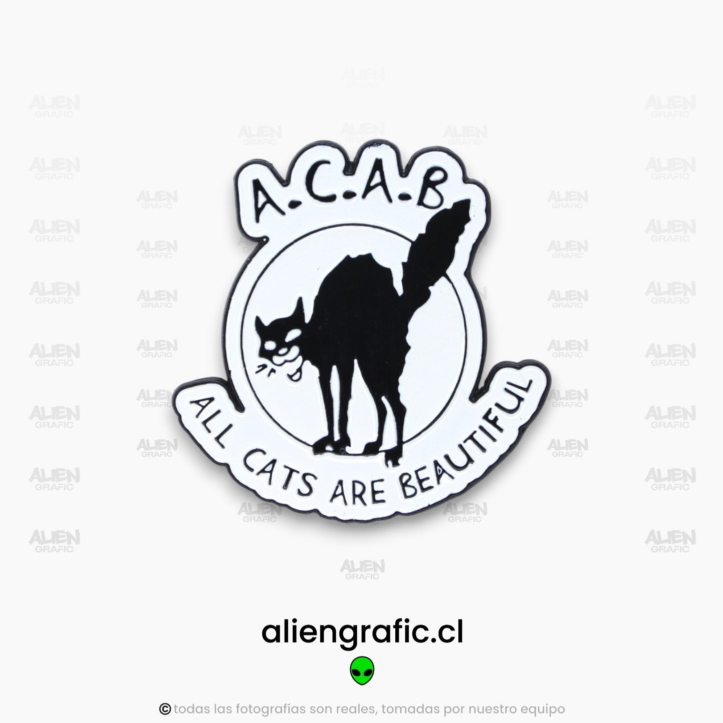 All Cats Are Beautiful Acab