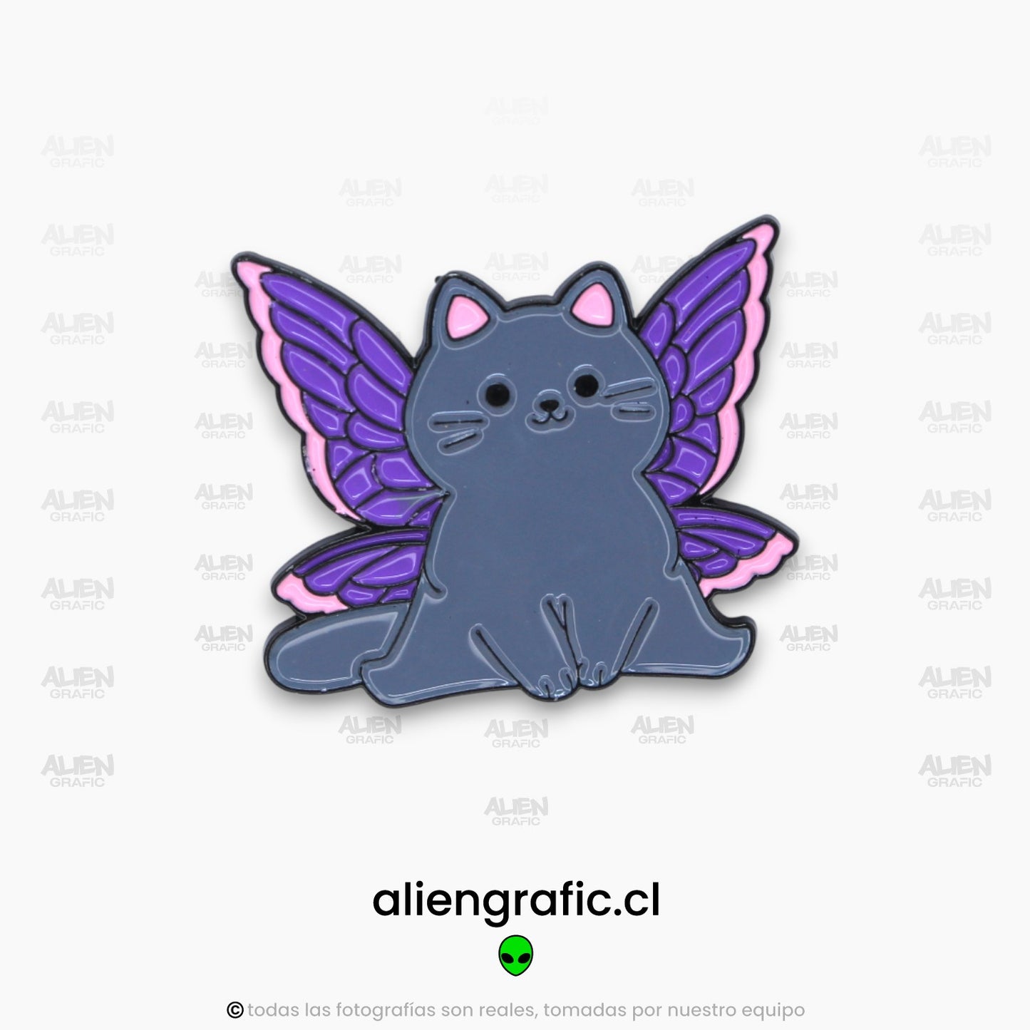 Gato Mariposa 3