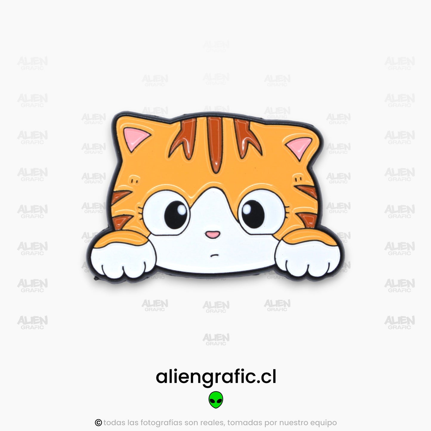 Carita Gato Tabby Naranjo