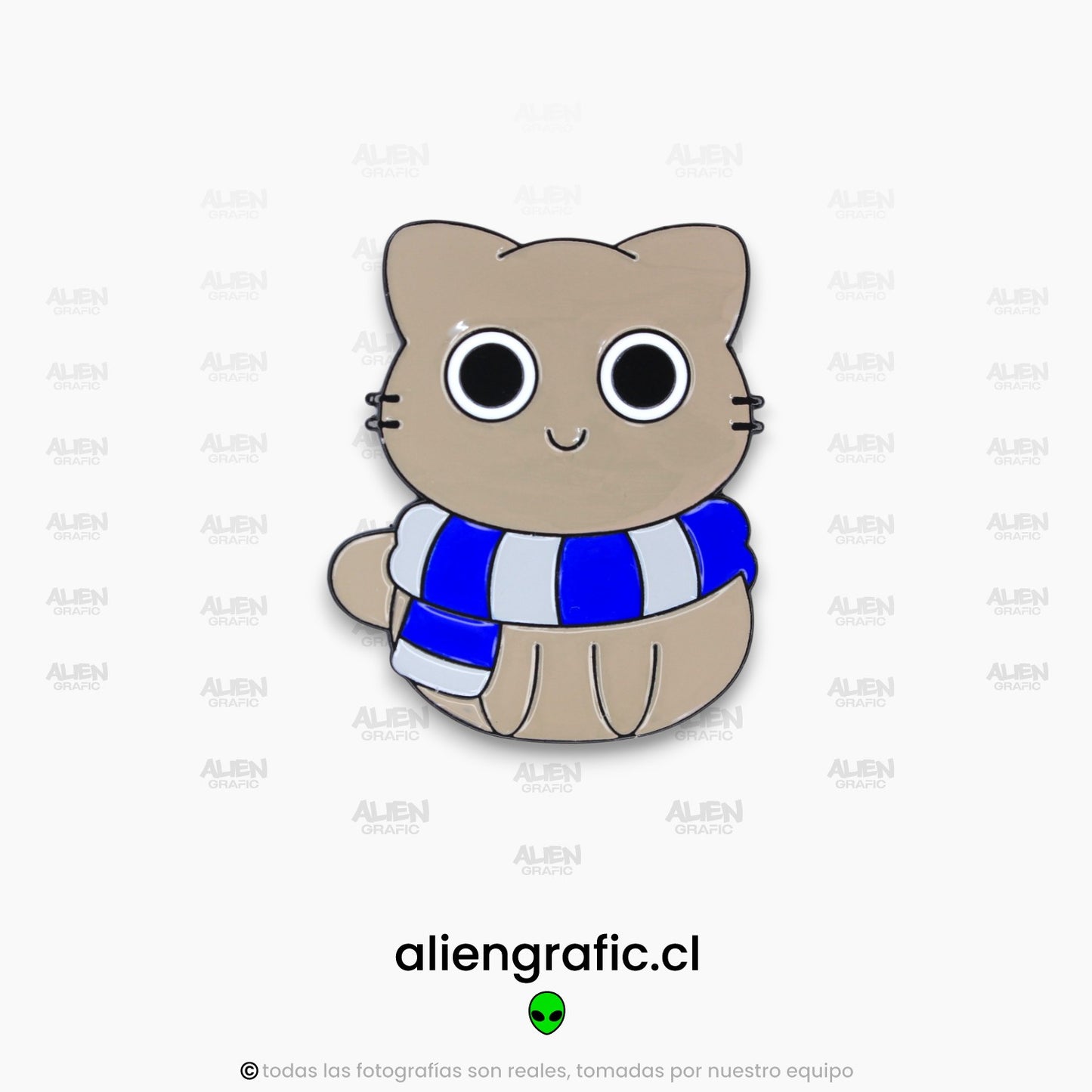 Gato Ravenclaw