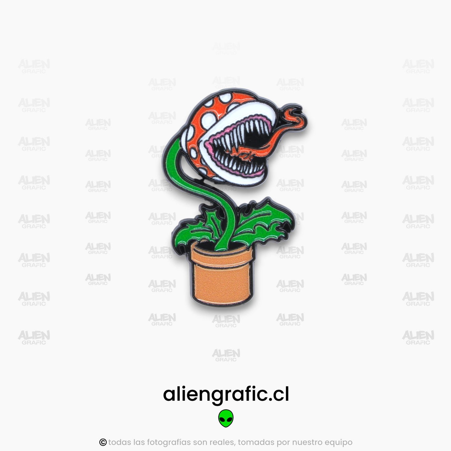 Planta Carvinora