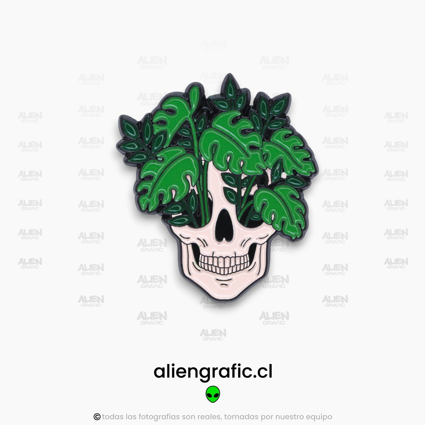 Calavera 1