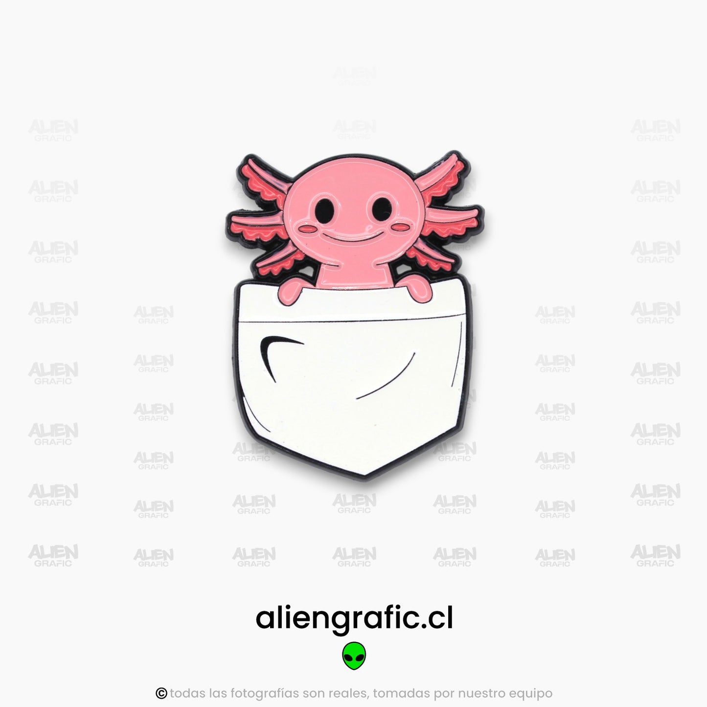 Ajolote 2
