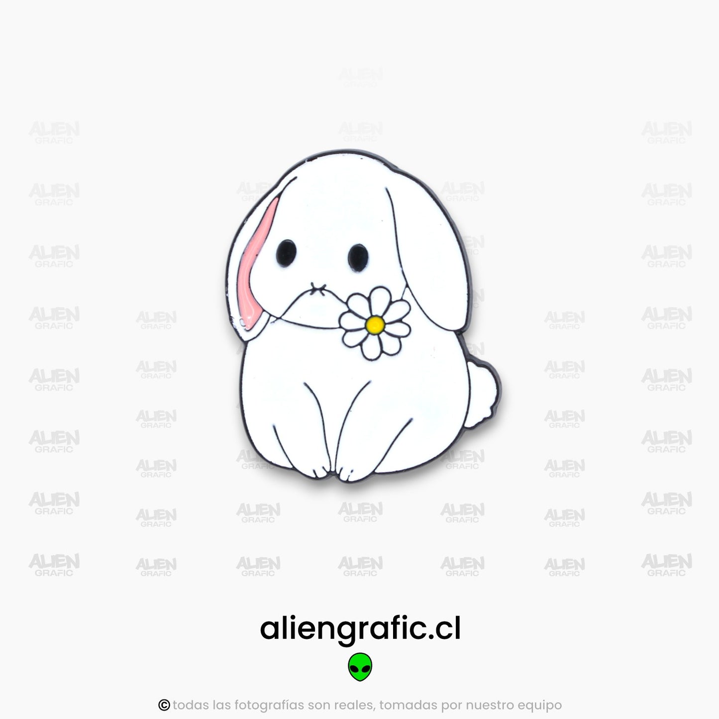 Conejo 2