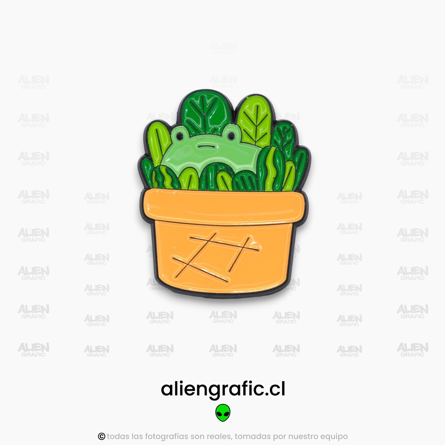 Rana En Plantita
