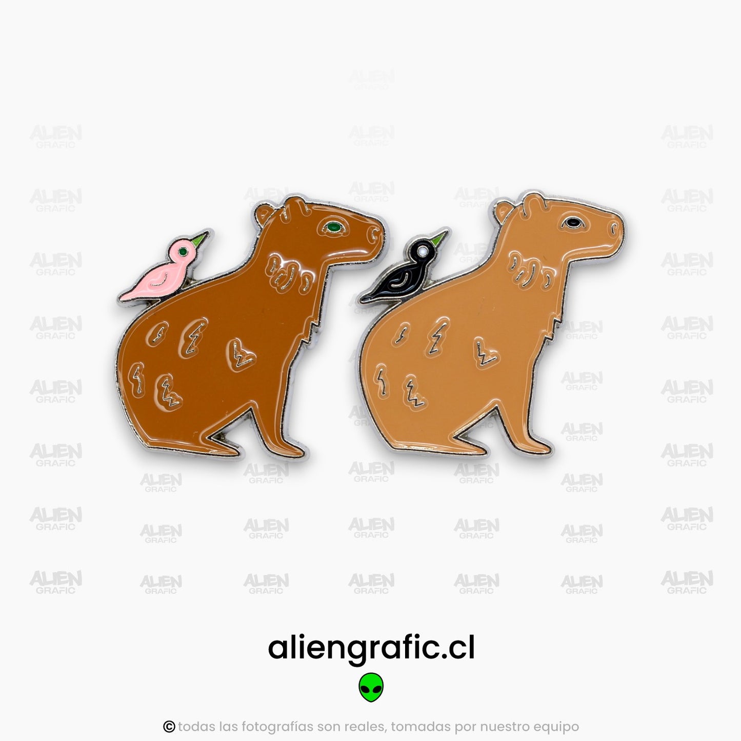 Pareja Capibaras