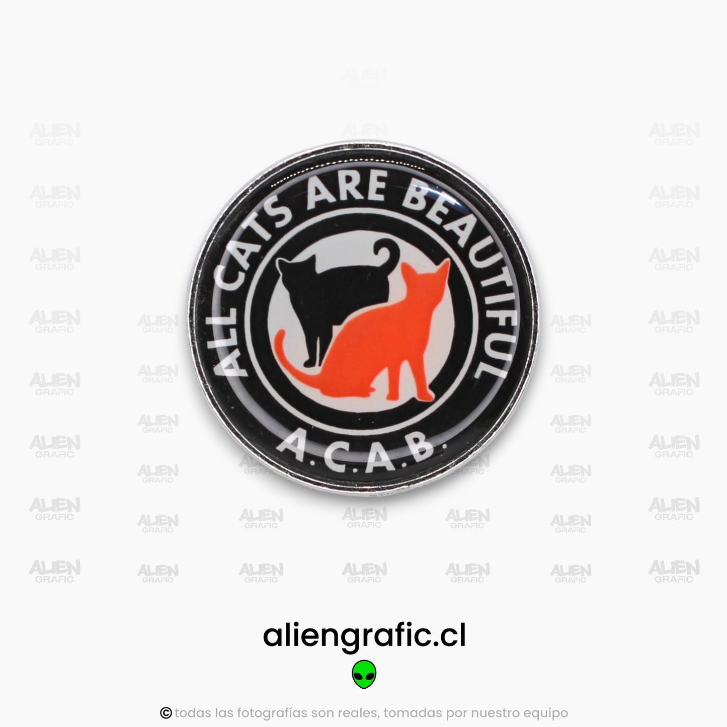 All Cats Are Beautiful