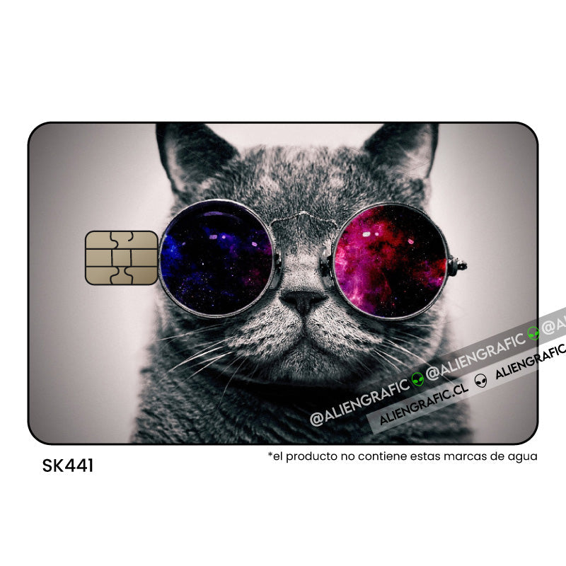 Gato gafas