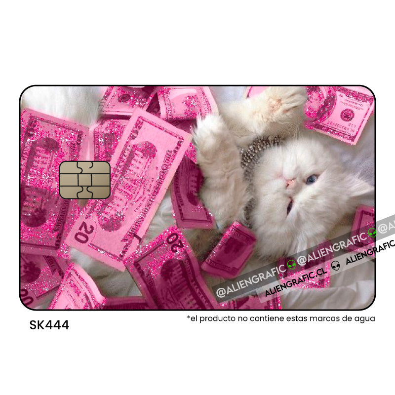 Gatita billetes