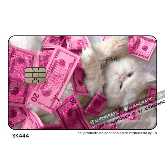 Gatita billetes
