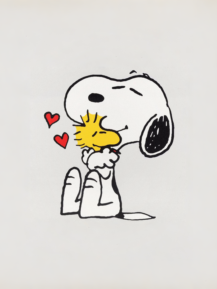 Snoopy Y Woodstock 2