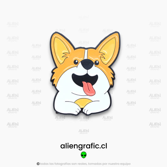 Corgi