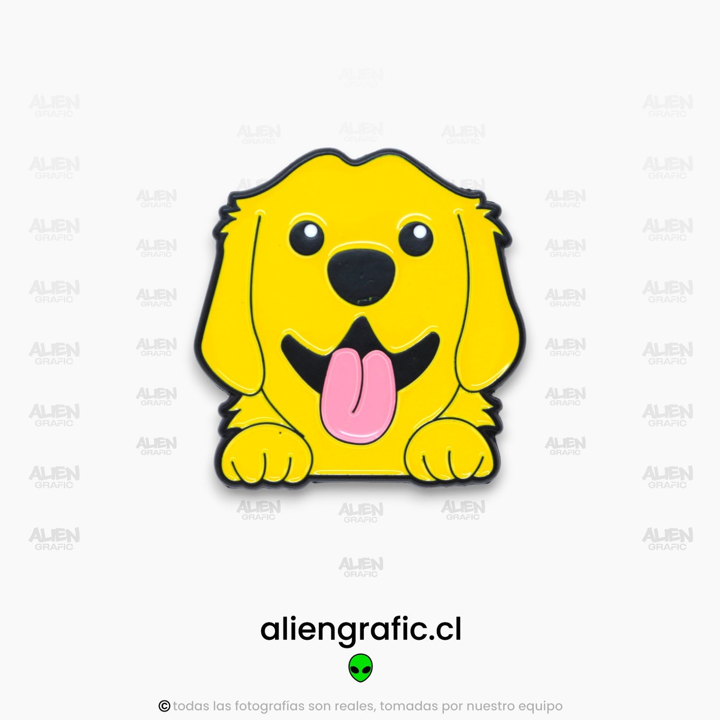Golden Retriever 1