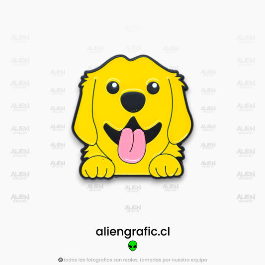 Golden Retriever 1