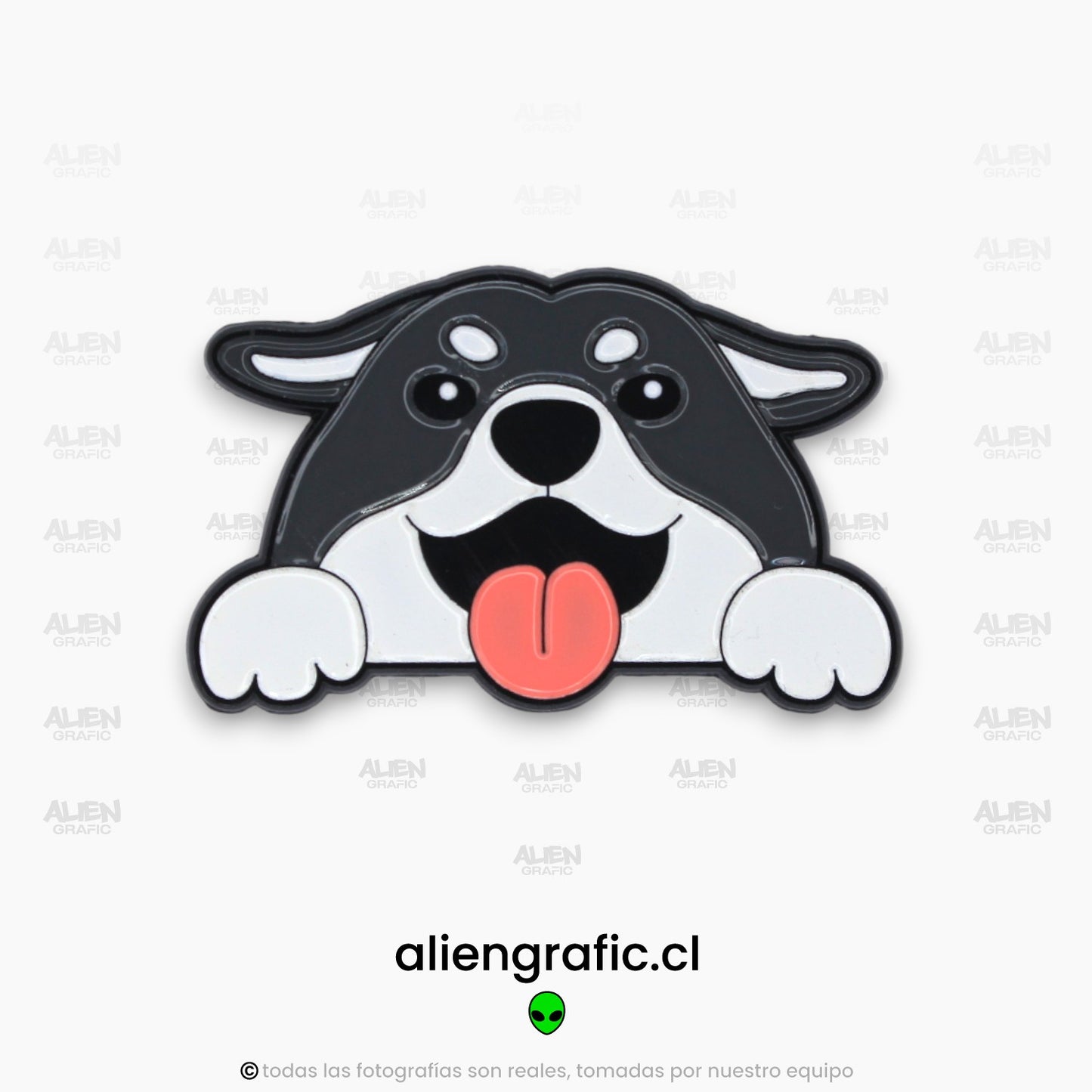 Husky Siberiano