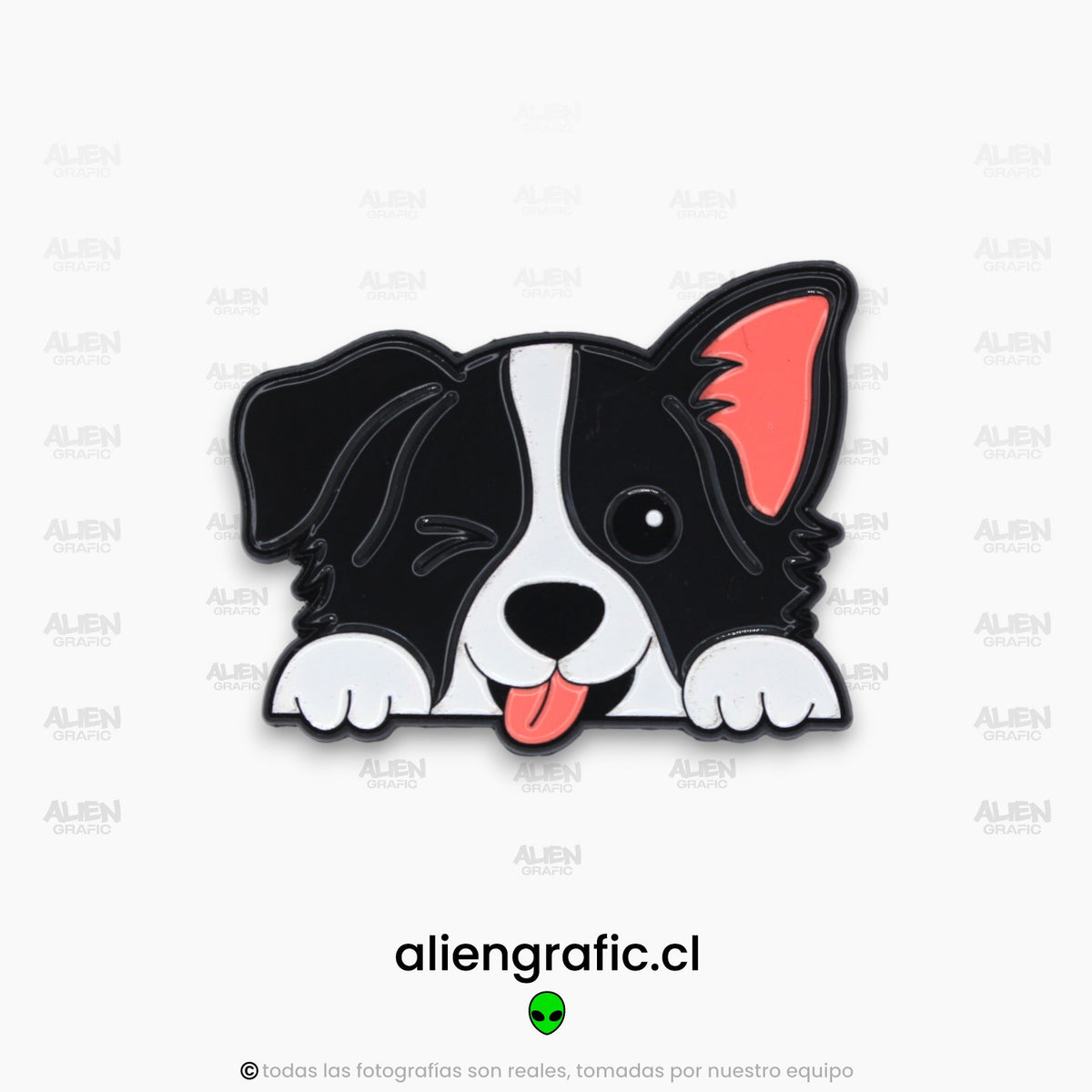 Border Collie 2