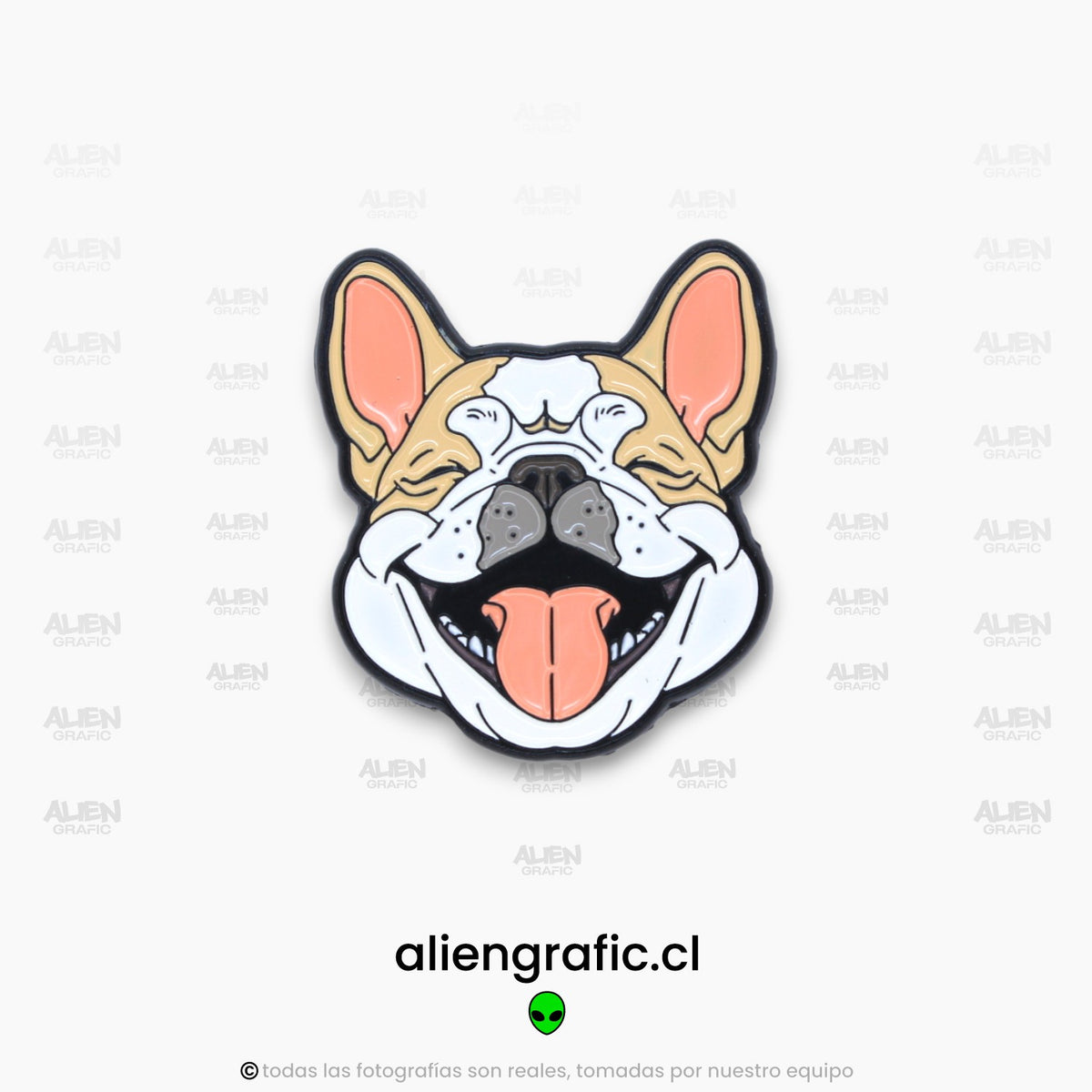 Bulldog Francés 3