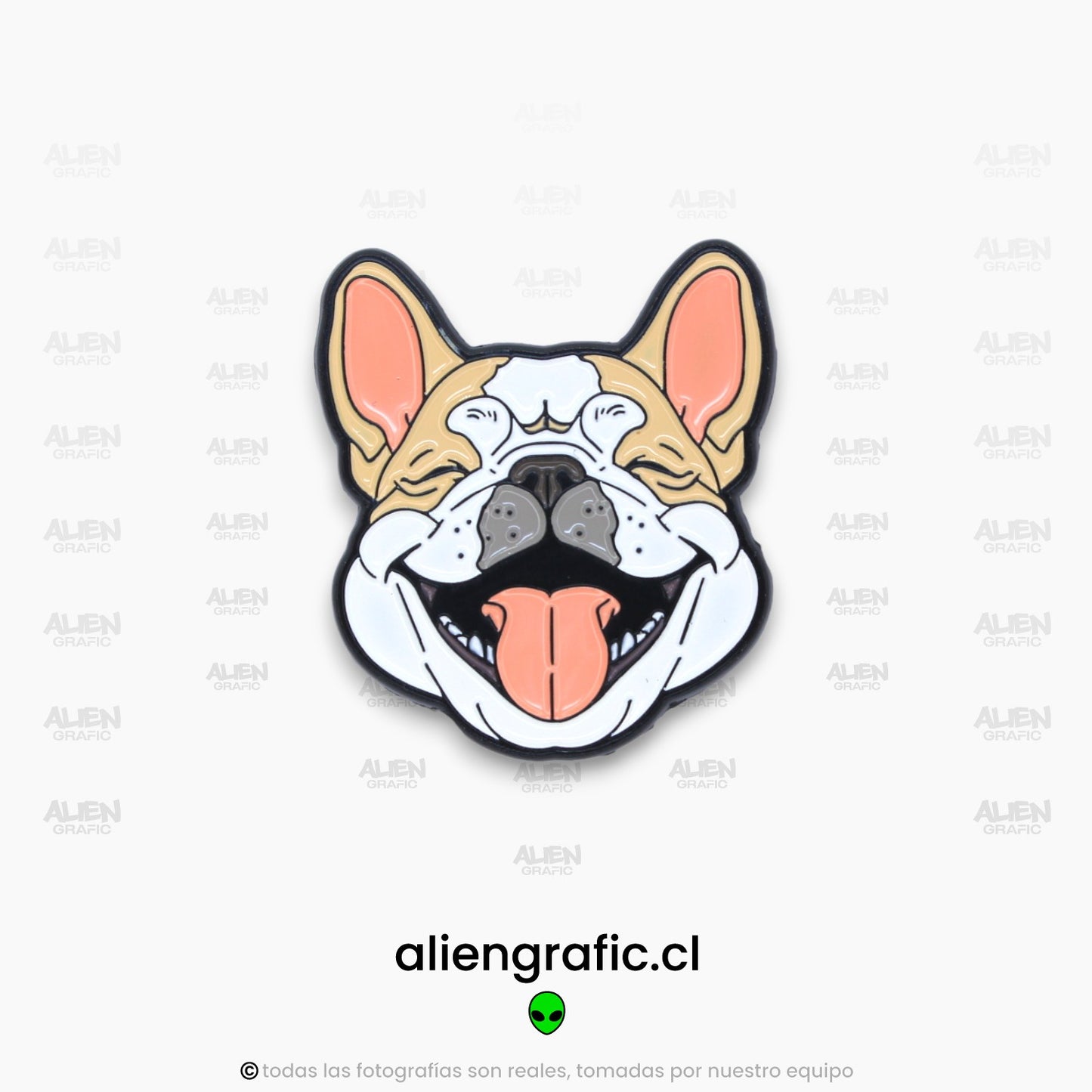 Bulldog Francés 3
