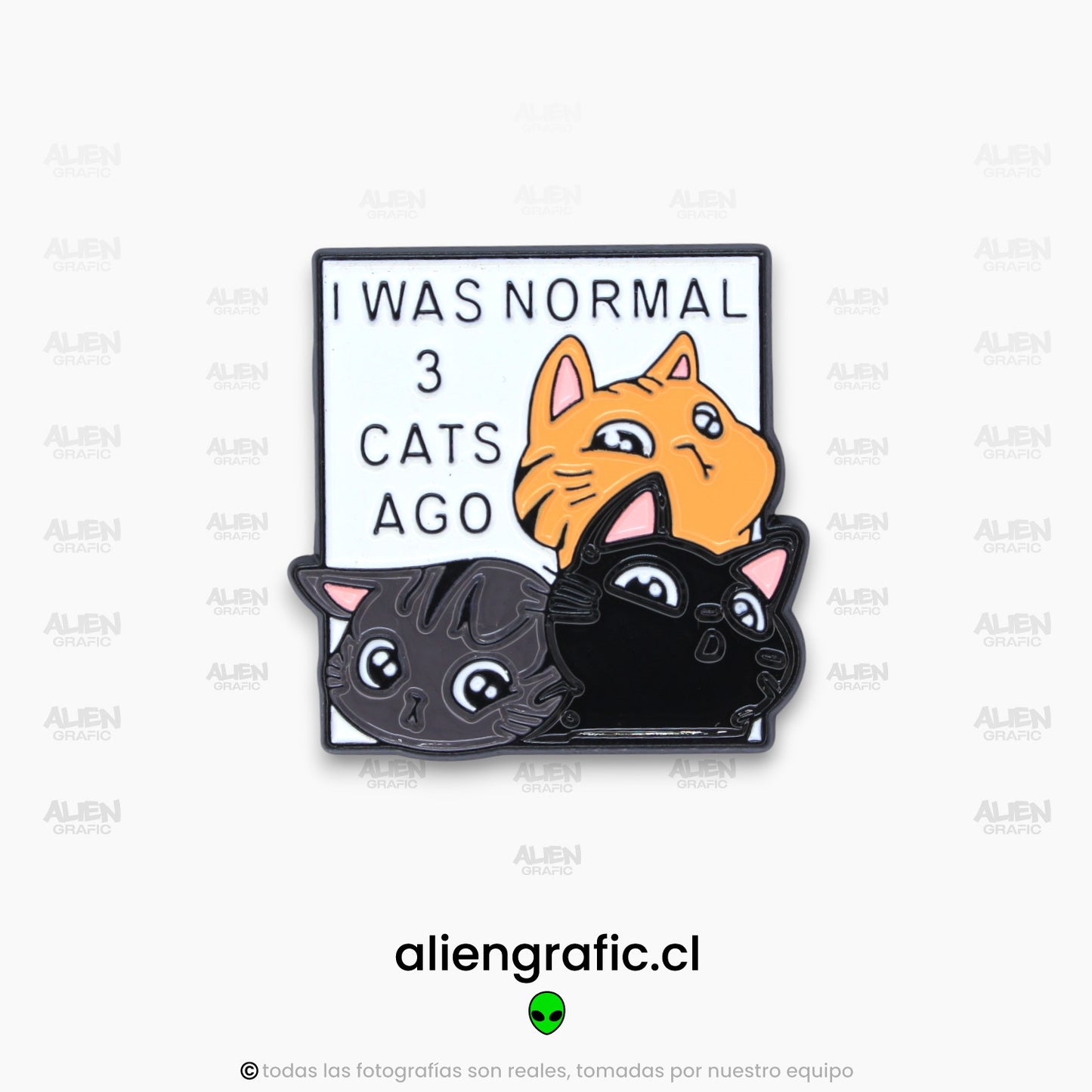 Yo Era Normal 3 Gatos Atrás