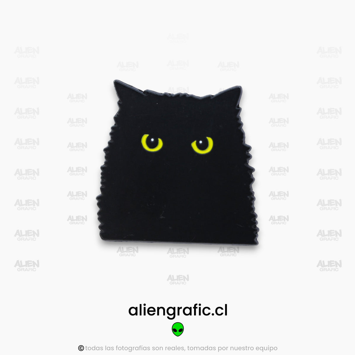 Gato Negro