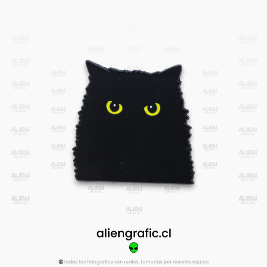 Gato Negro