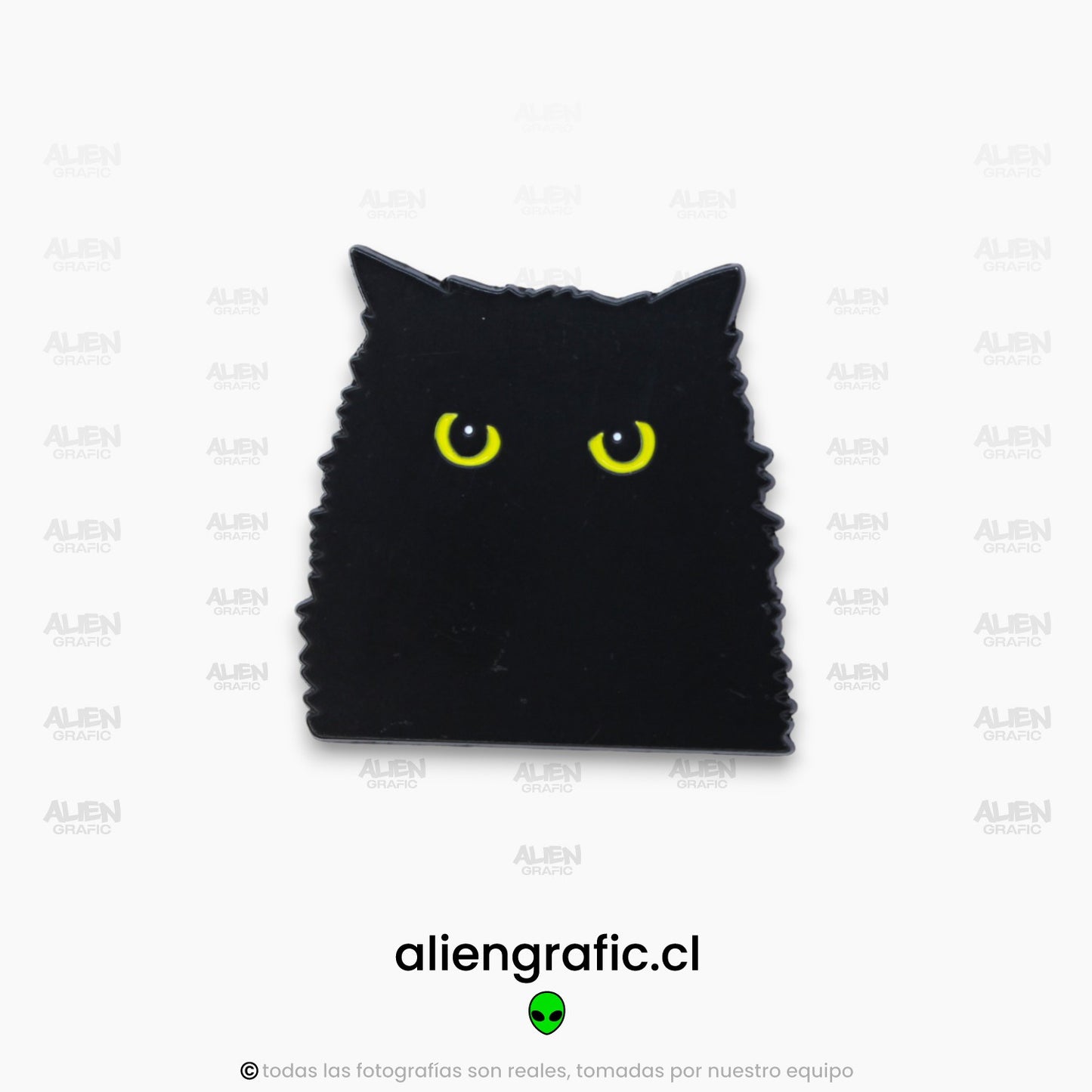 Gato Negro