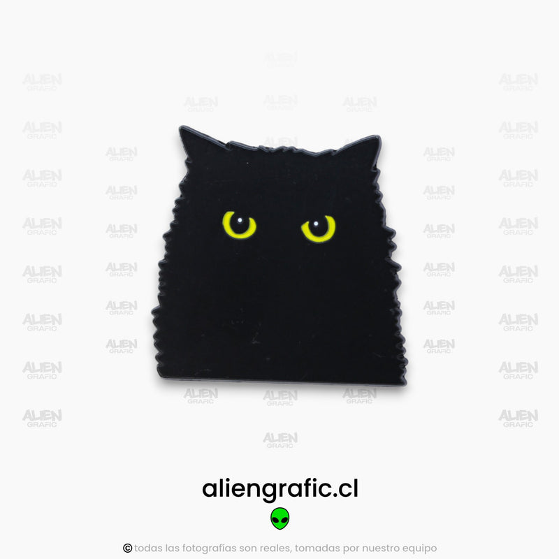 Gato Negro