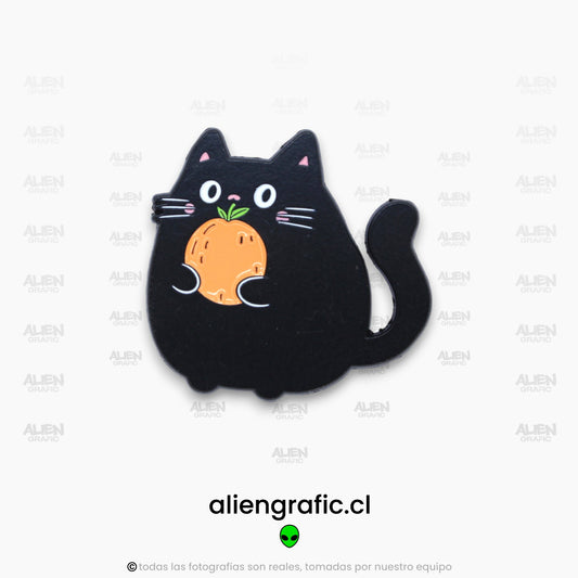 Gato y Naranja