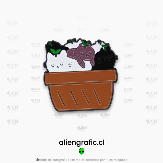 Gatos Planta