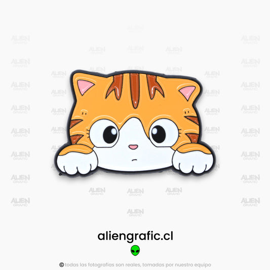 Carita Gato Tabby Naranjo