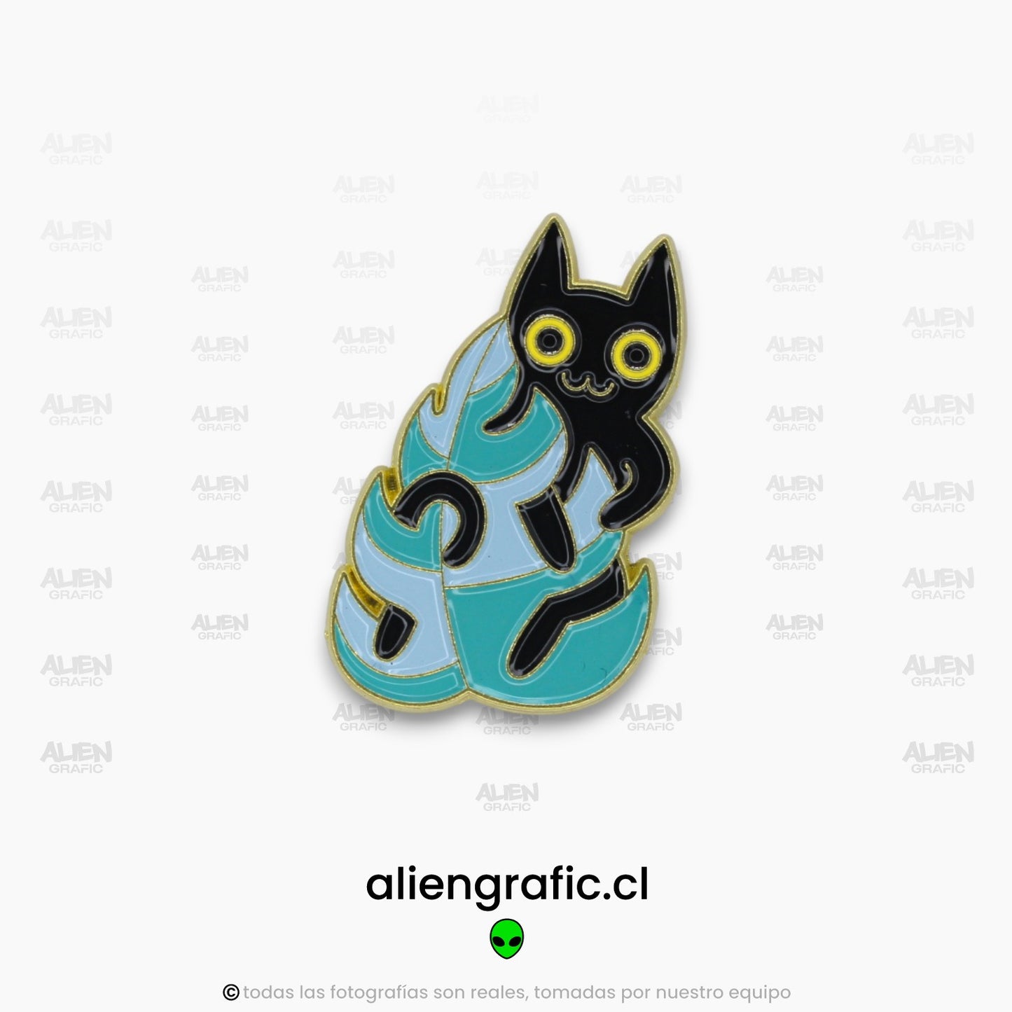 Gato Planta 3