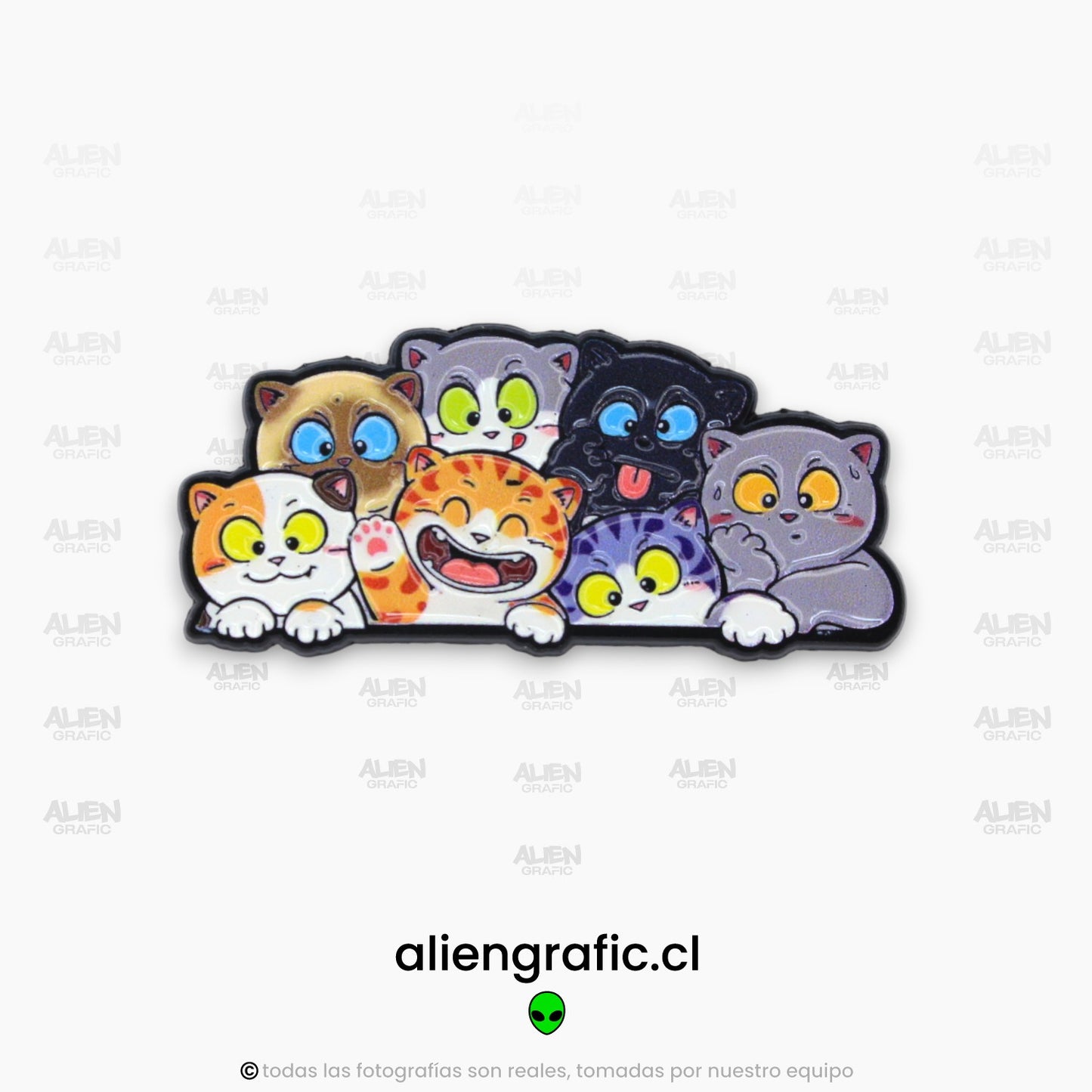 Happy Cats