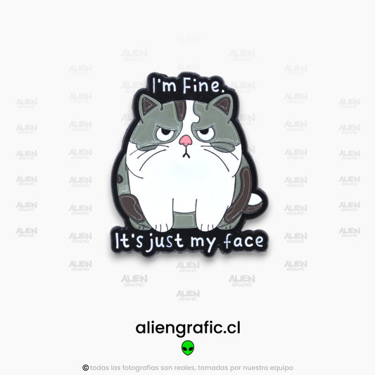 Estoy Bien, Solo Es Mi Cara