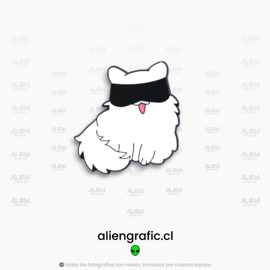 Gato Gojo 4