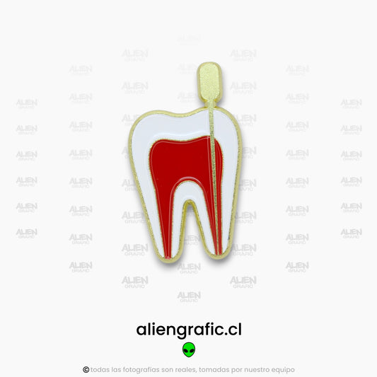 Diente Endodoncia