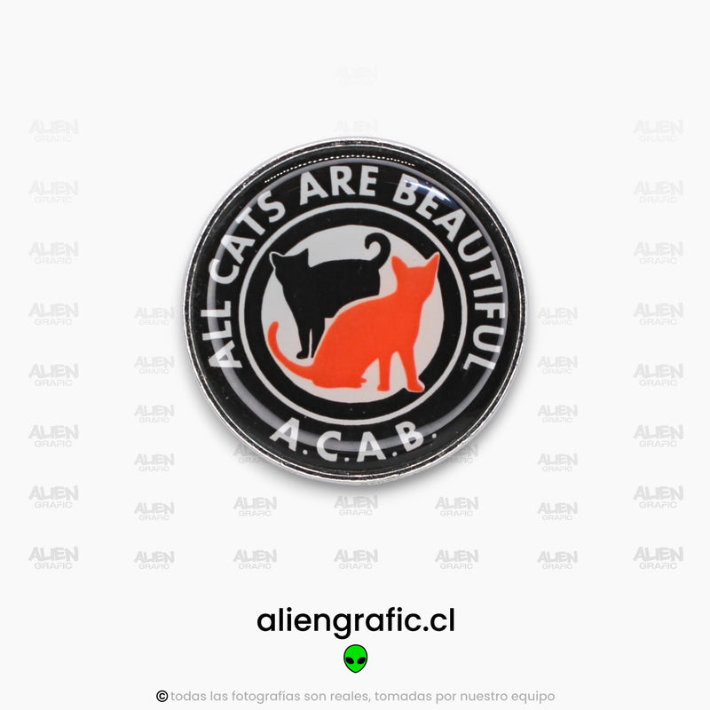 All Cats Are Beautiful